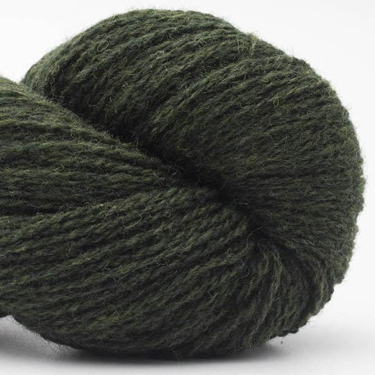 Bio Shetland