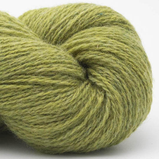 Bio Shetland