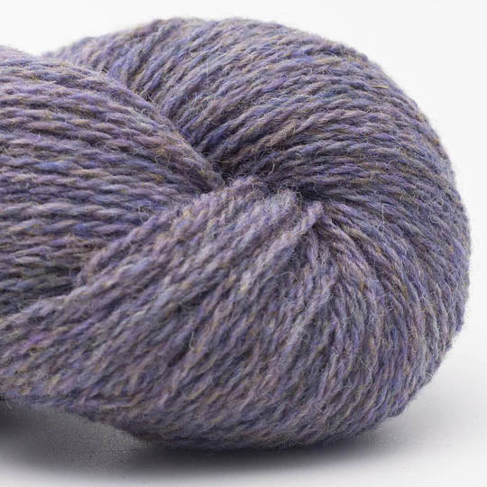 Bio Shetland