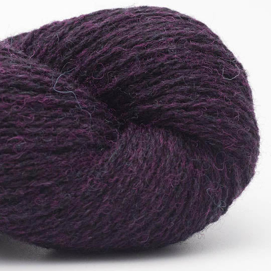 Bio Shetland