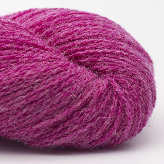 Bio Shetland