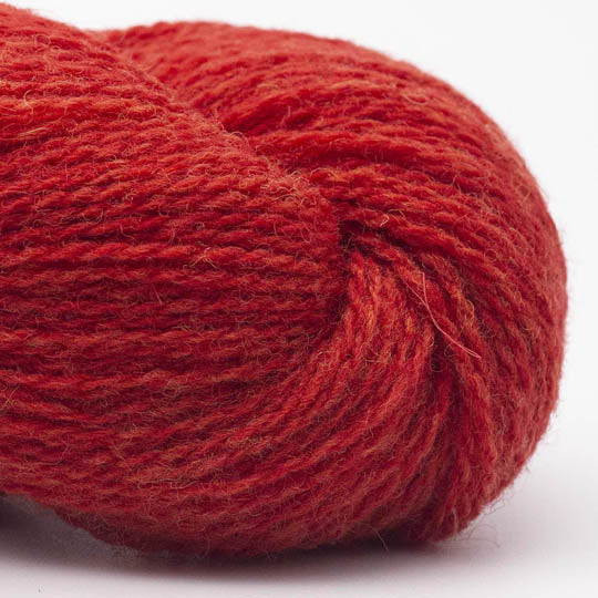 Bio Shetland