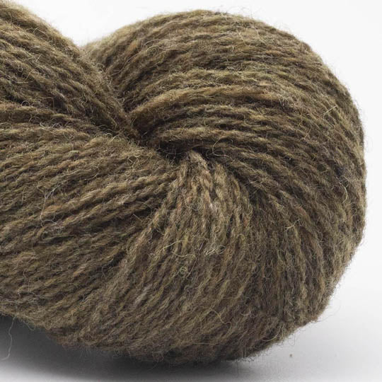 Bio Shetland