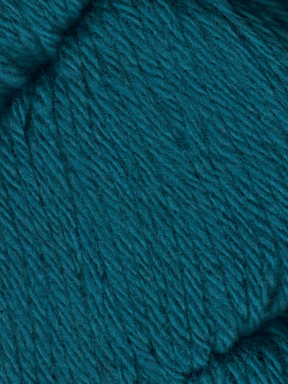 Santa Cruz