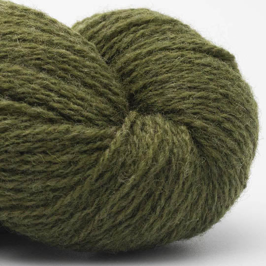 Bio Shetland