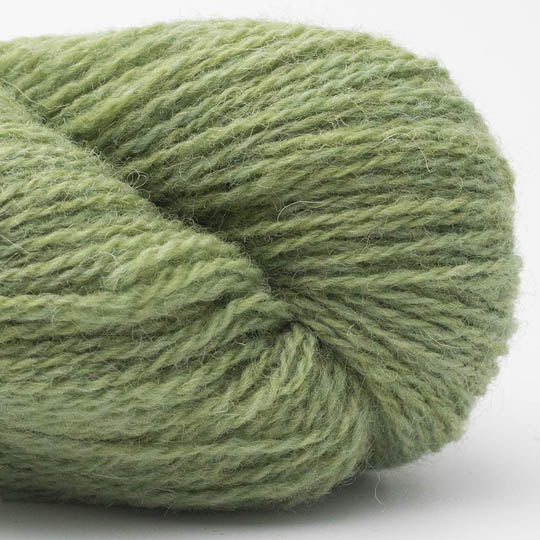 Bio Shetland