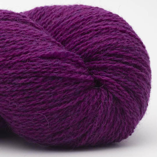 Bio Shetland