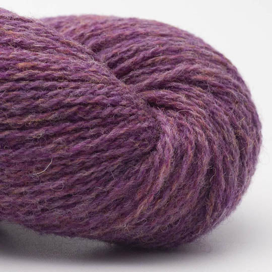 Bio Shetland
