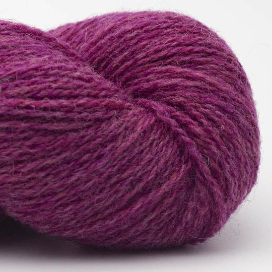 Bio Shetland