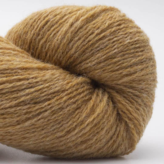 Bio Shetland