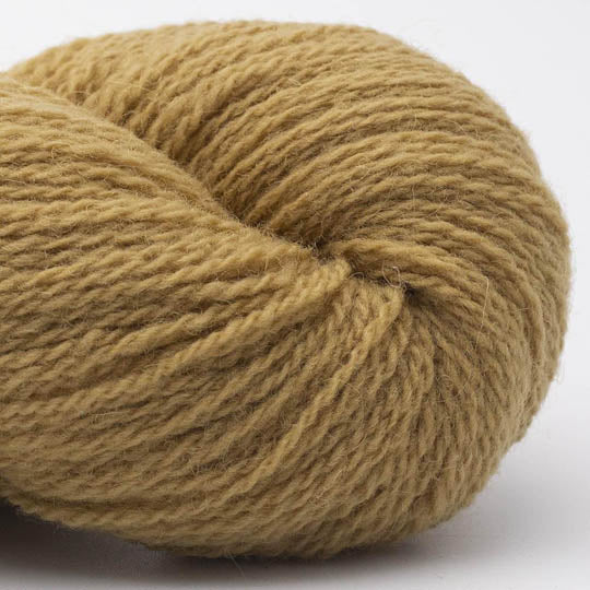 Bio Shetland