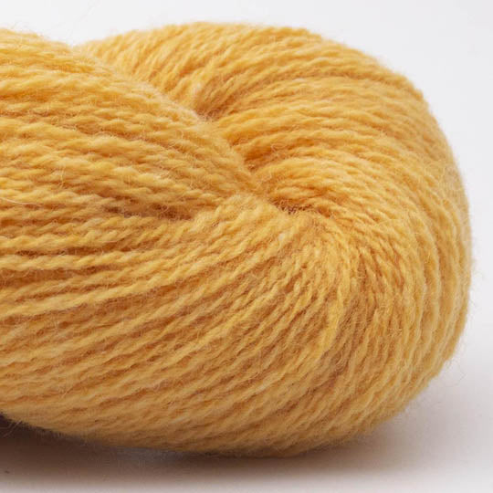Bio Shetland
