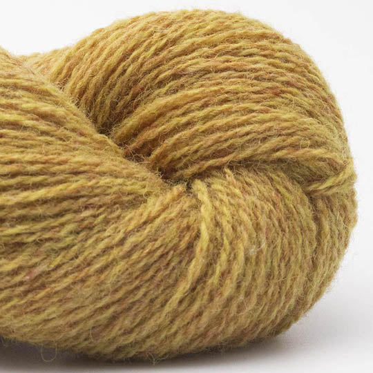 Bio Shetland