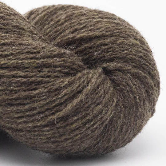 Bio Shetland