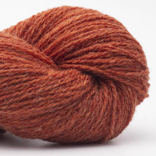Bio Shetland