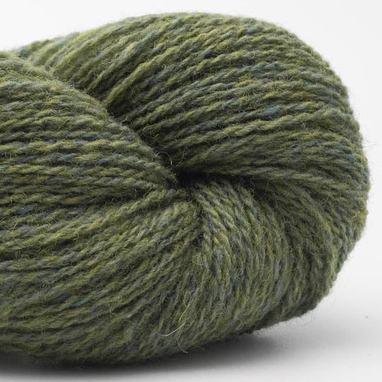 Bio Shetland
