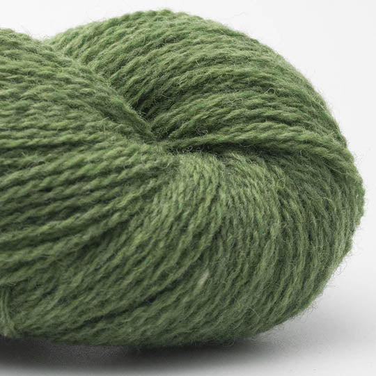 Bio Shetland