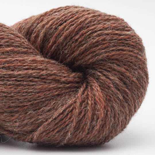 Bio Shetland