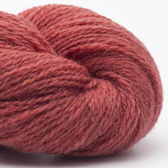 Bio Shetland
