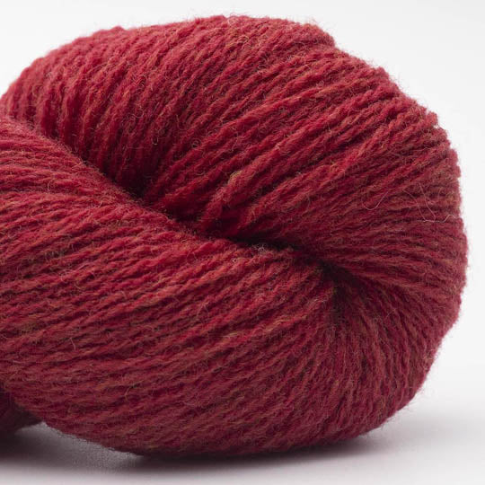 Bio Shetland