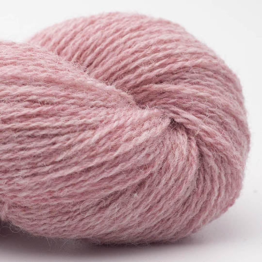 Bio Shetland