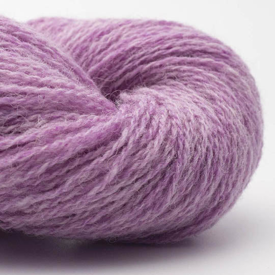 Bio Shetland