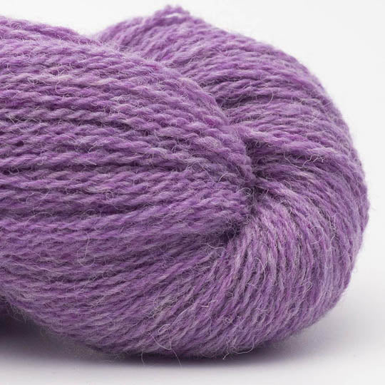 Bio Shetland