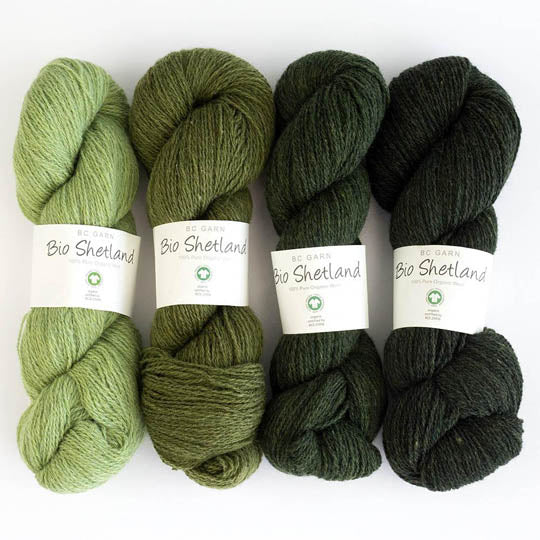 Bio Shetland